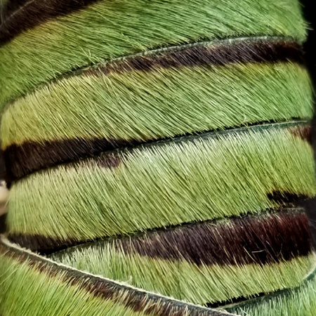 10 mm flat leather with hair